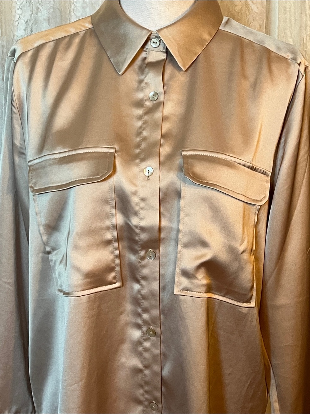 RACHEL ZOE Platinum Blouse - Picture 2 of 8